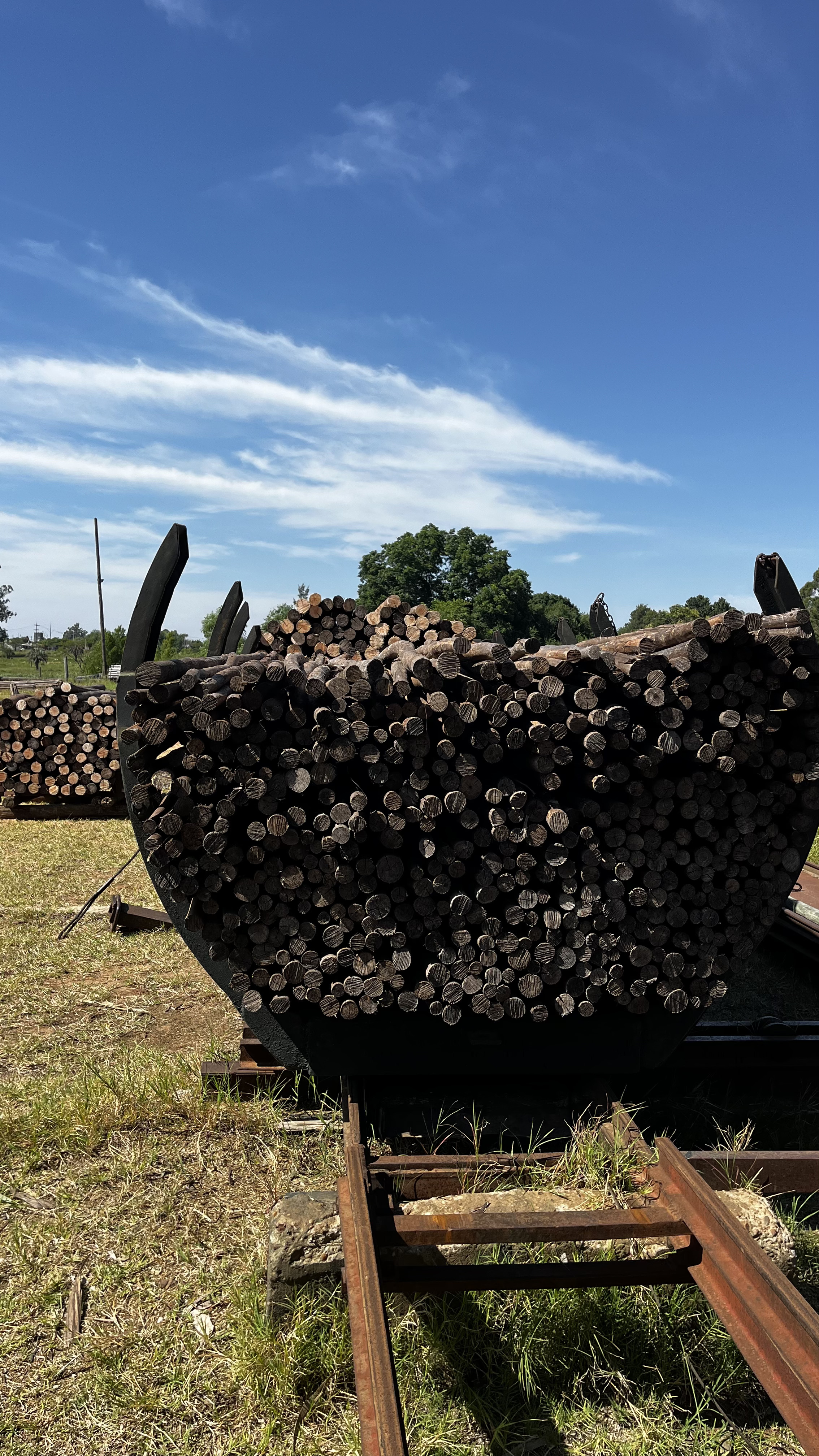 Postes agrícolas de eucalyptus preservados