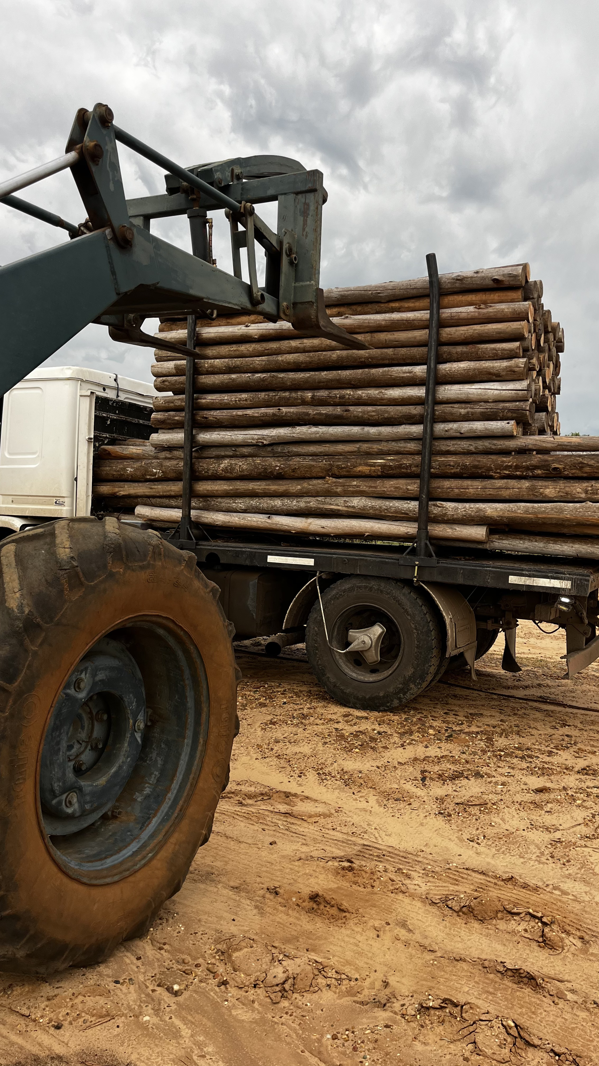 Postes de madera para uso rural - IMPREGSA