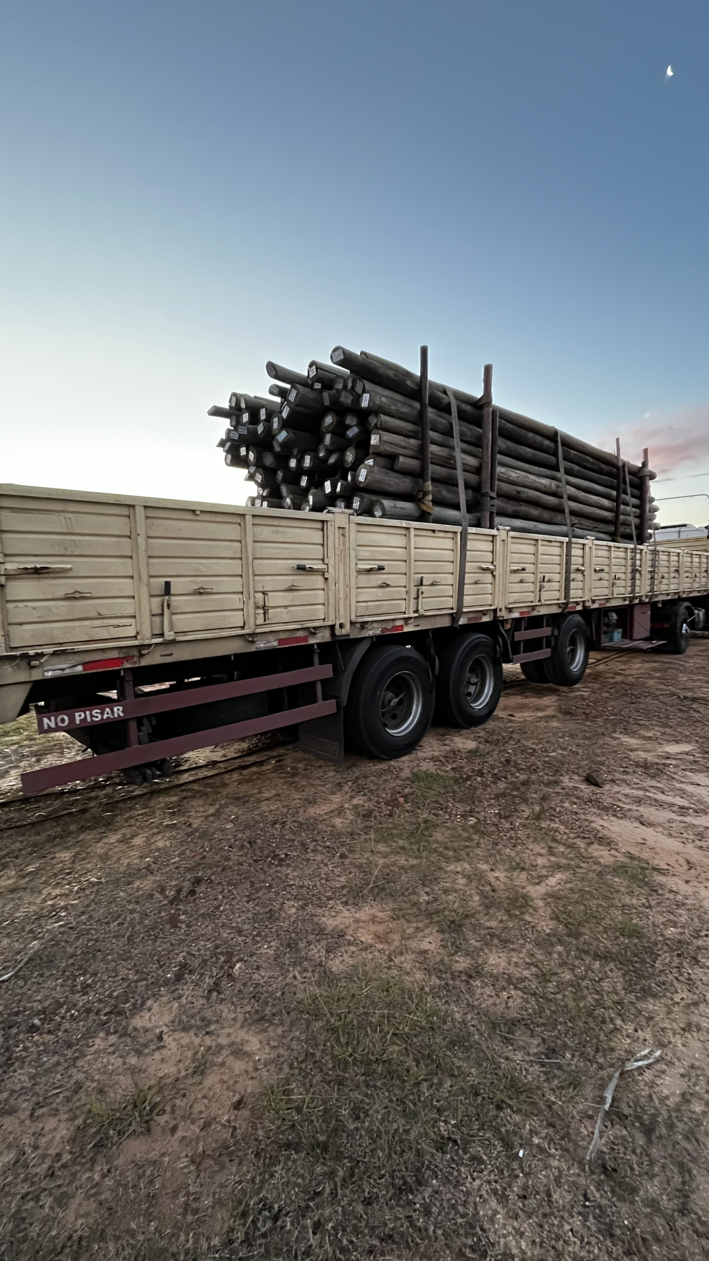 Postes eucalyptus línea aérea 7 a 12 metros