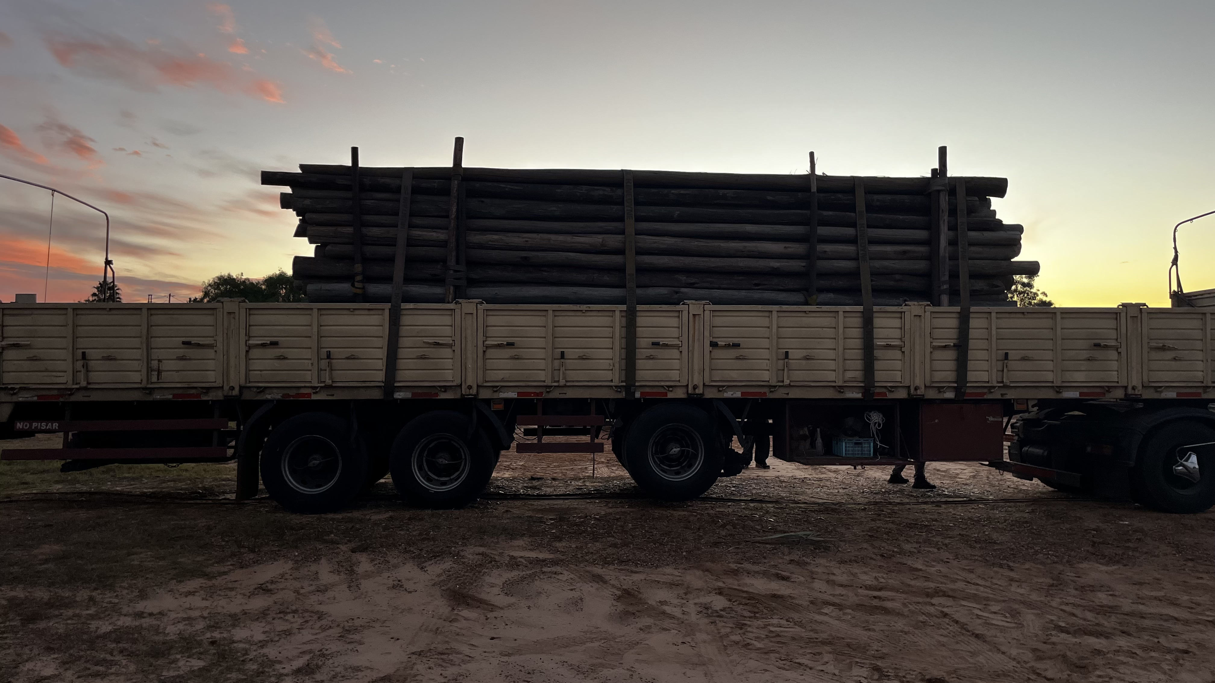 Postes de madera para electrificación rural