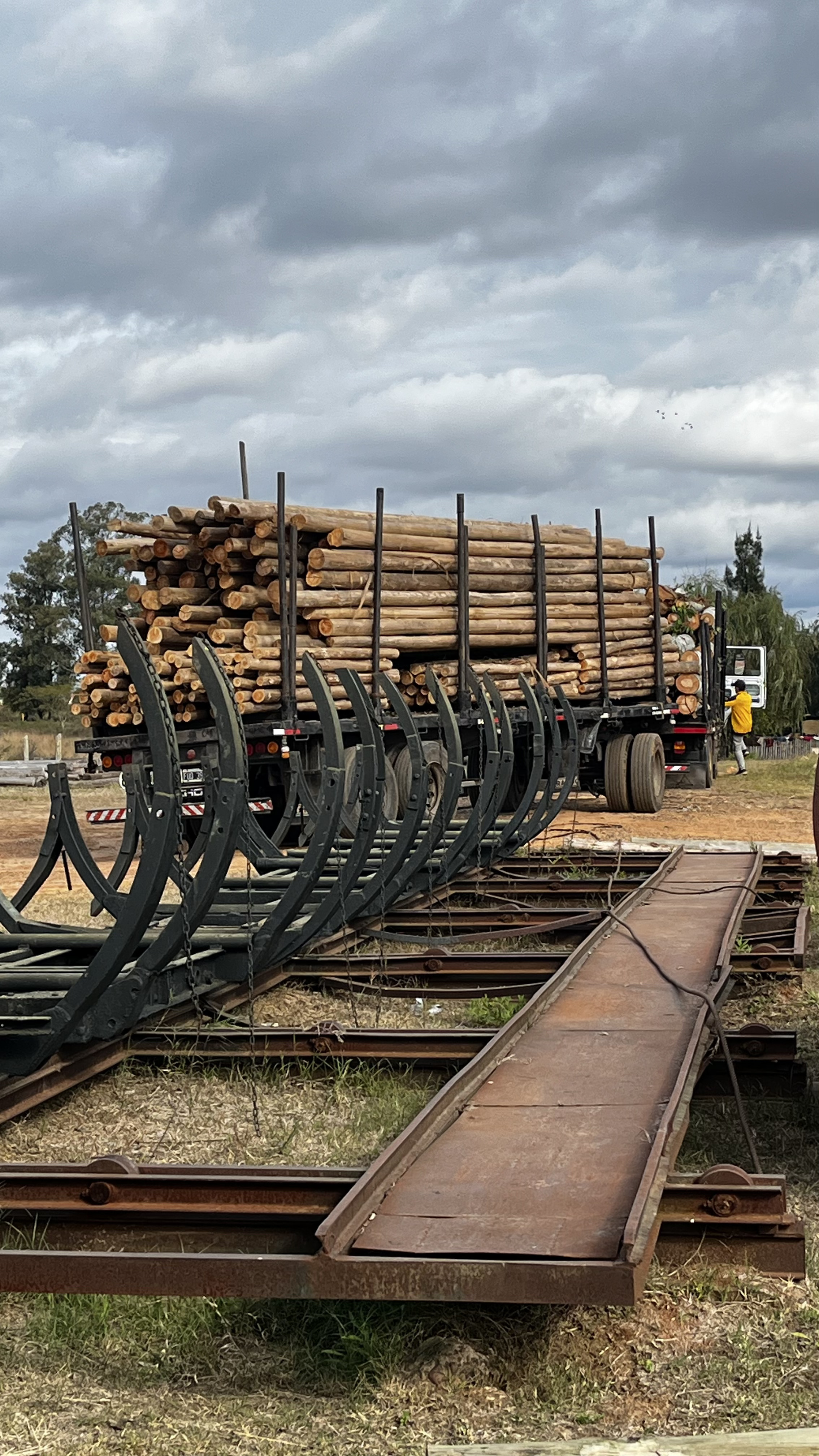 Postes de madera para estructura antigranizo
