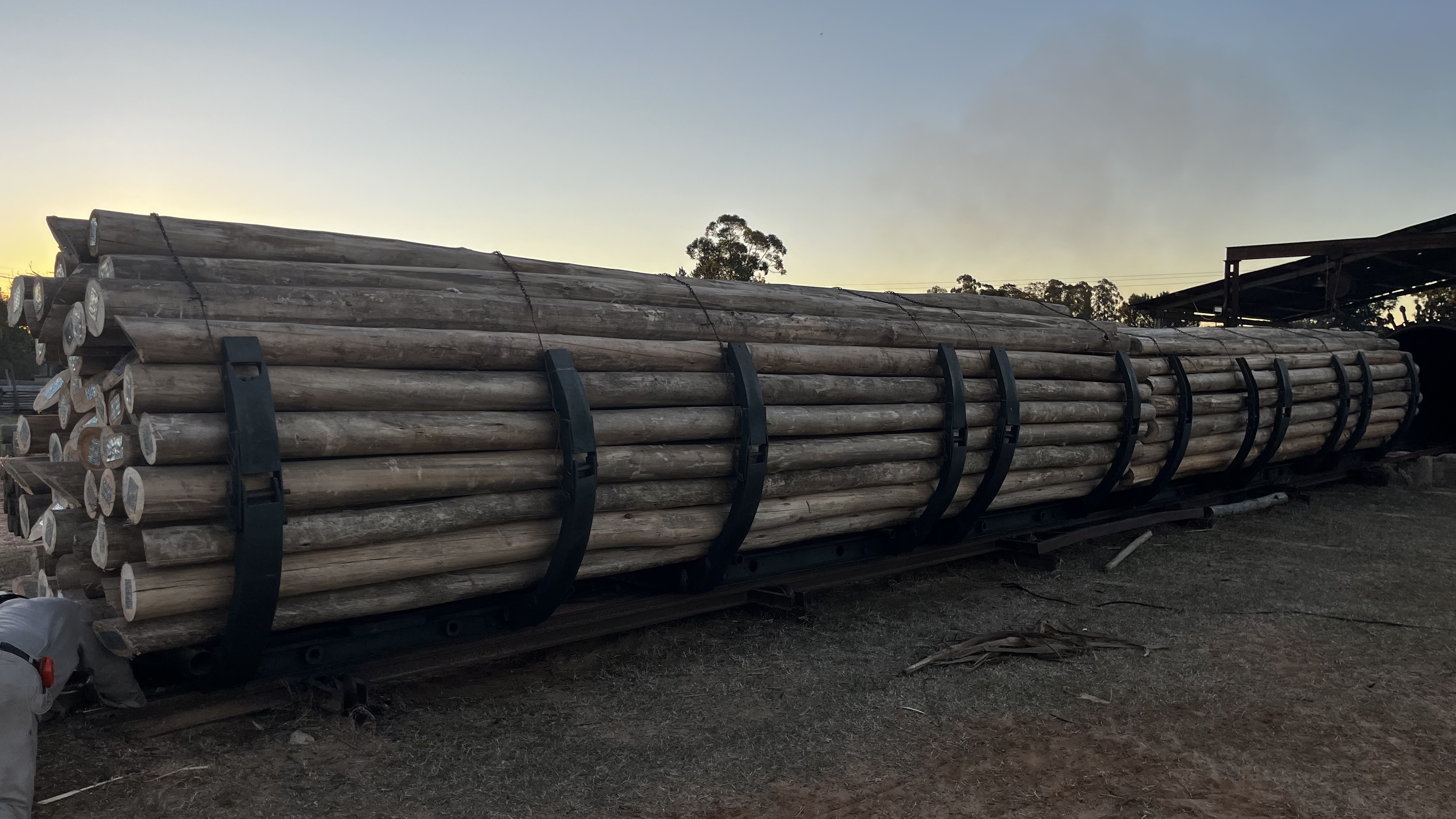 Postes de madera para tendido eléctrico