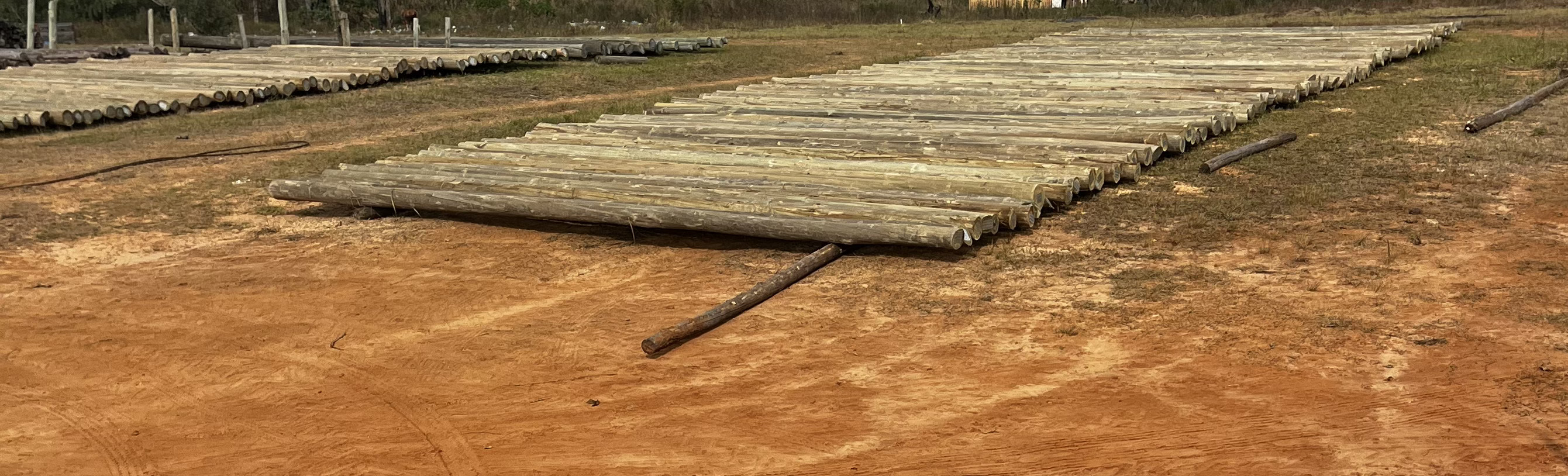 Postes de madera impregnada para electrificación rural