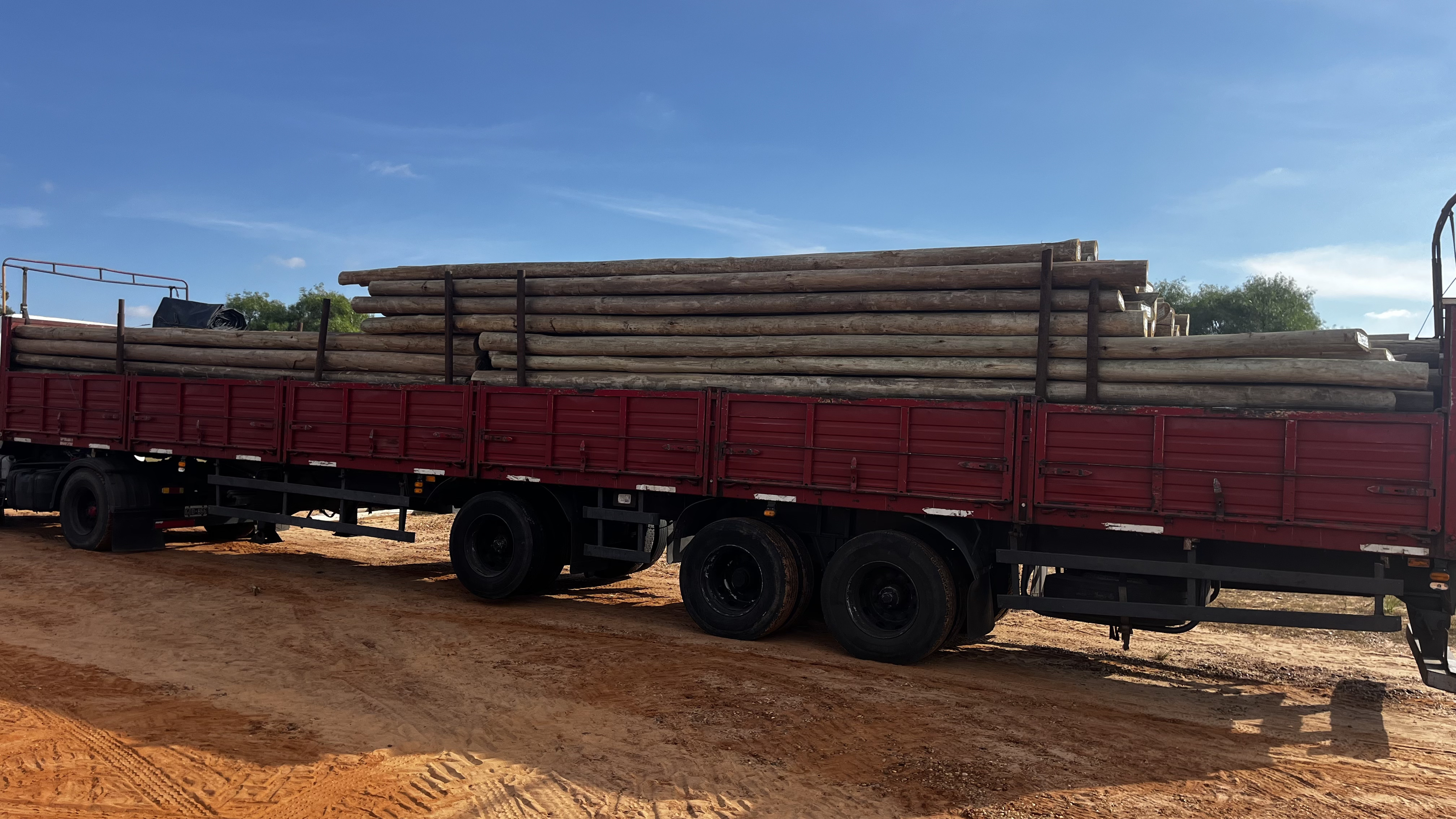 Stock de postes de madera preservada Concordia