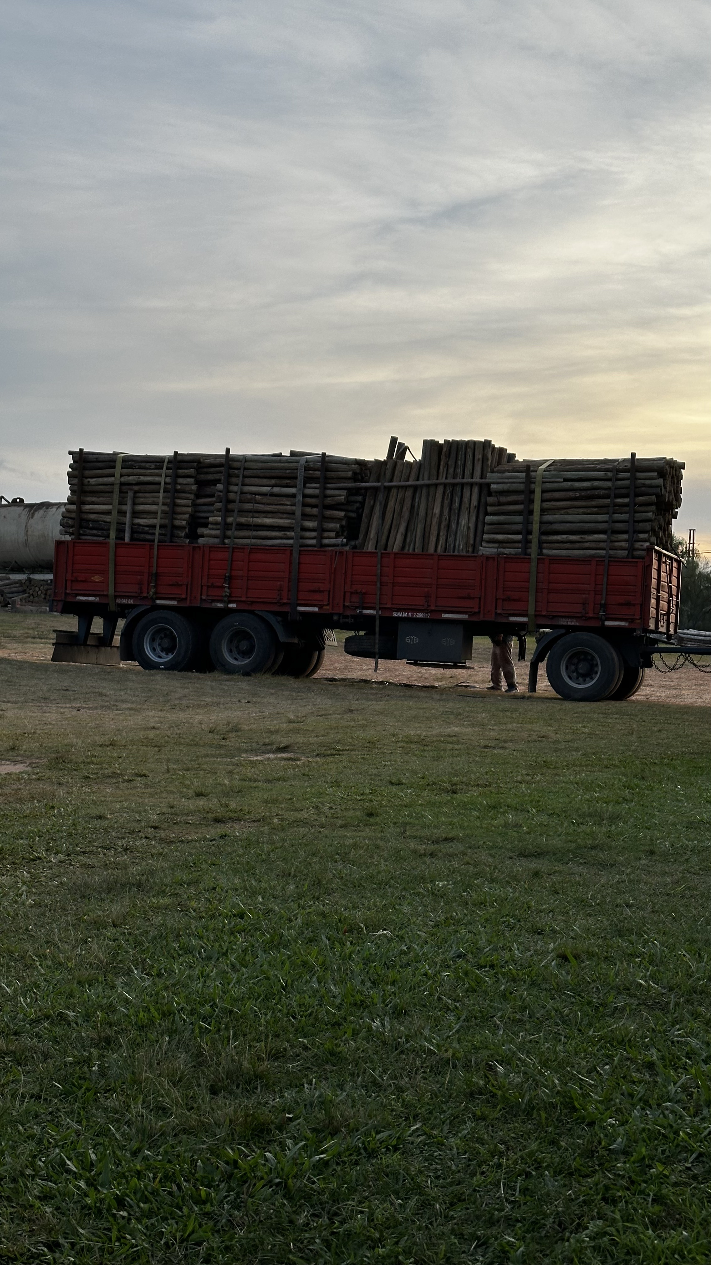 Postes de madera para viñedos y agricultura