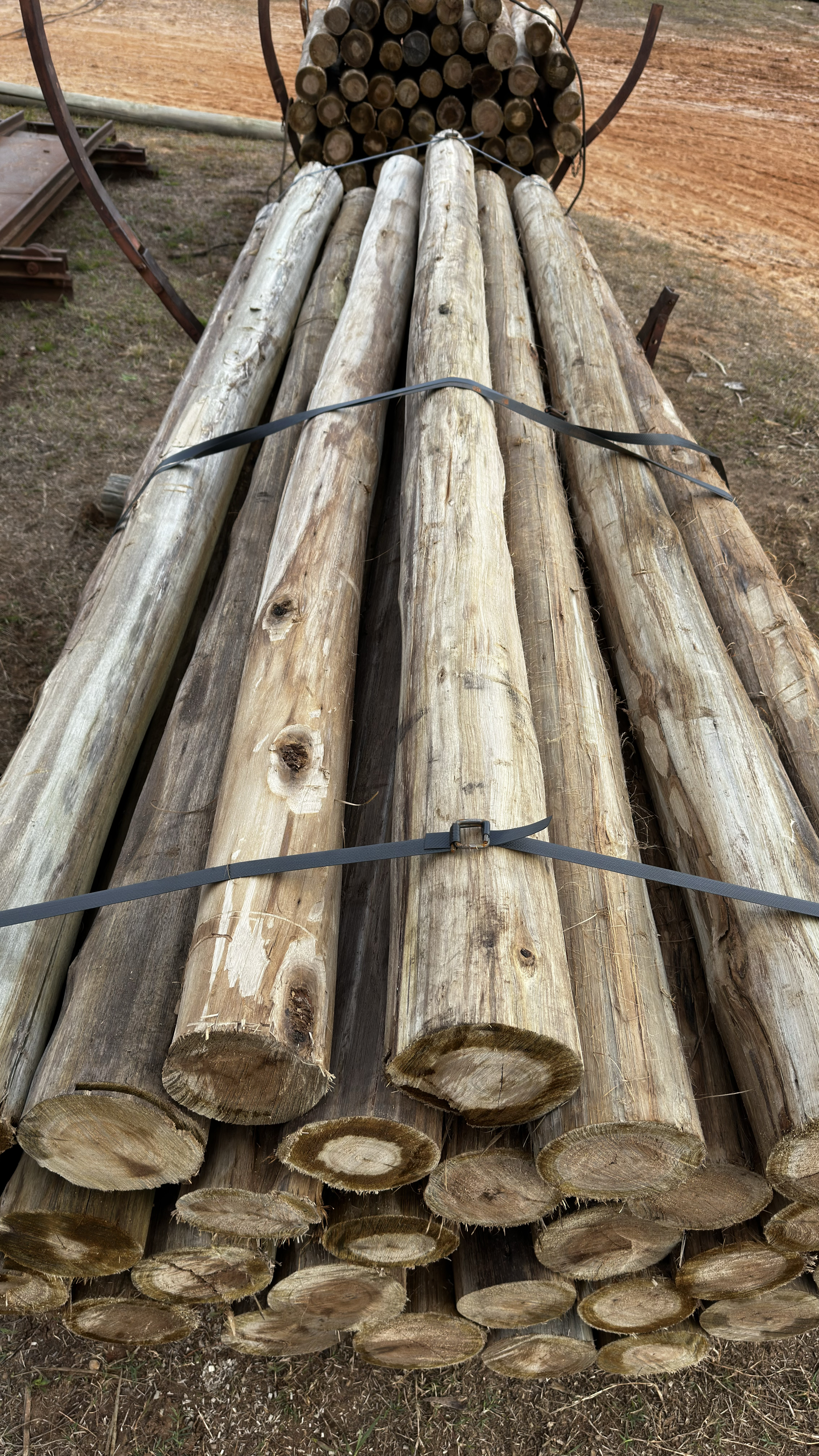 Postes de eucalyptus grandis preservados CCA